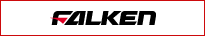 FALKEN
