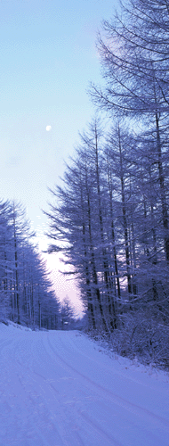 �����åɥ쥹������ˤϤ�������äƤ⤦�Ｑ��