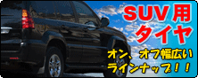 SUV�p�^�C���̒ʐM�̔�