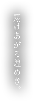 翔けあがる煌めき。