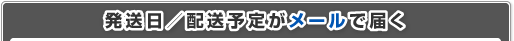 発送日/配送予定がメールで届く